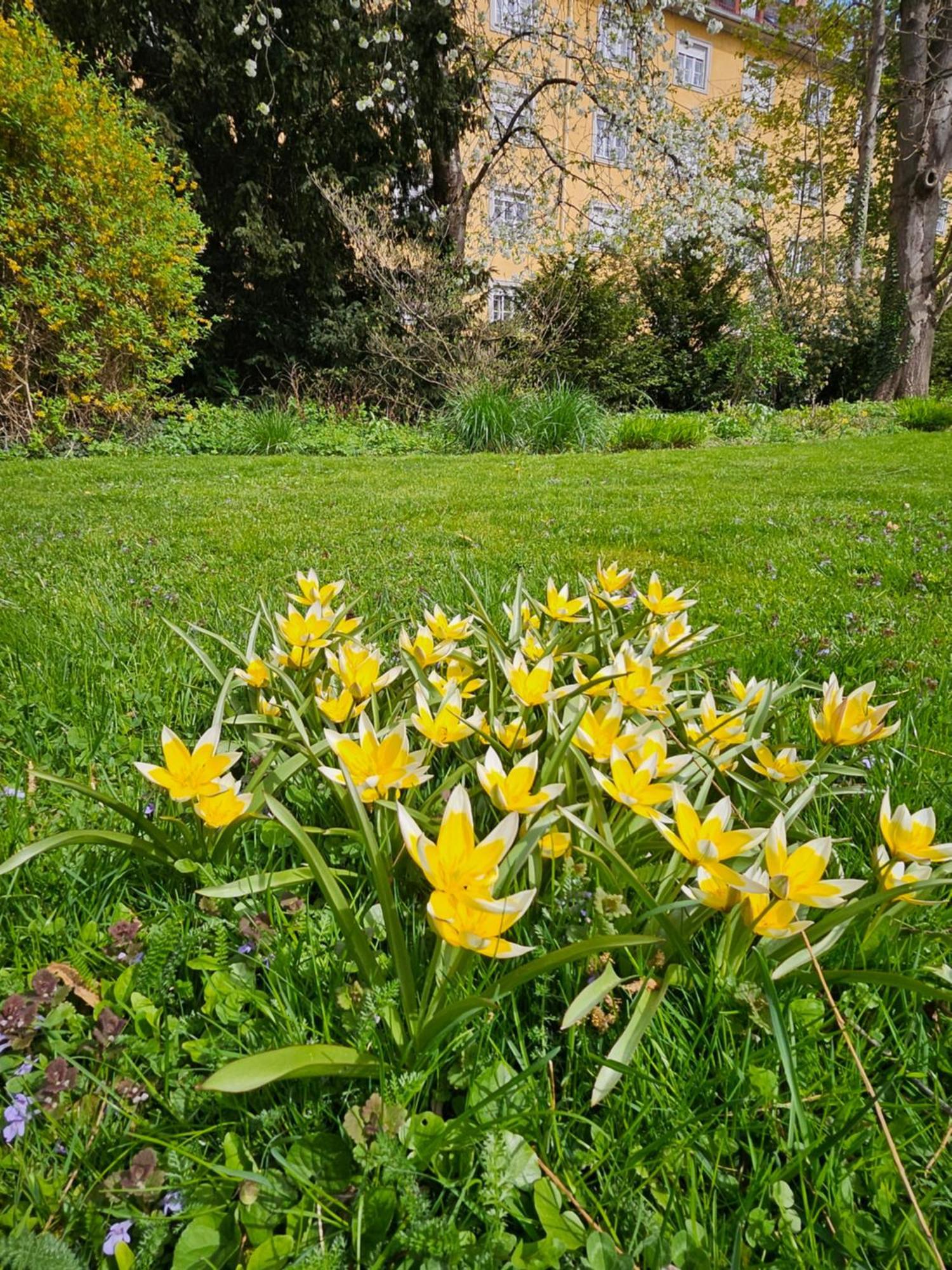 Yellow Flat By Grazrentals With Best Location & Free Parking Εξωτερικό φωτογραφία