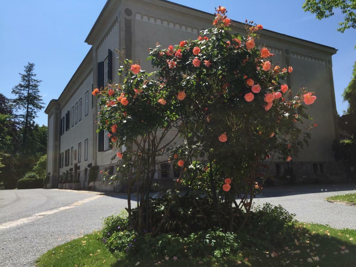 Yellow Flat By Grazrentals With Best Location & Free Parking Εξωτερικό φωτογραφία